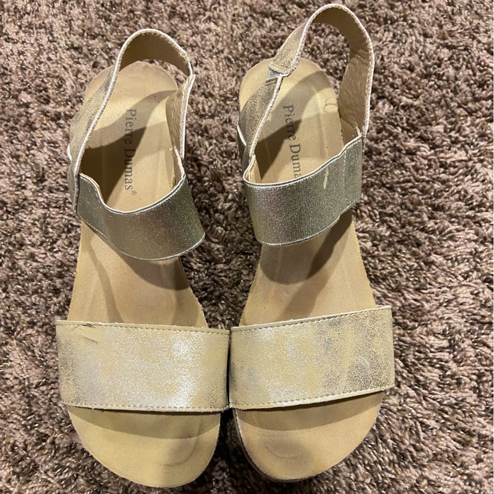 Pierre Dumas wedges